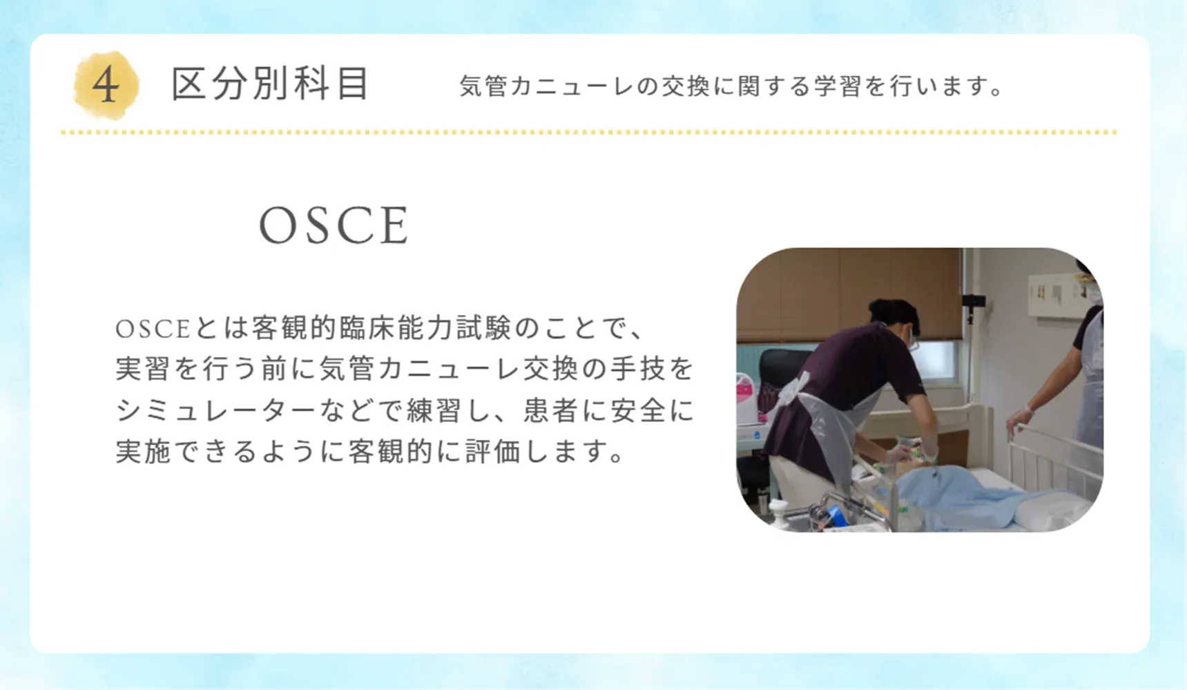 区分別科目